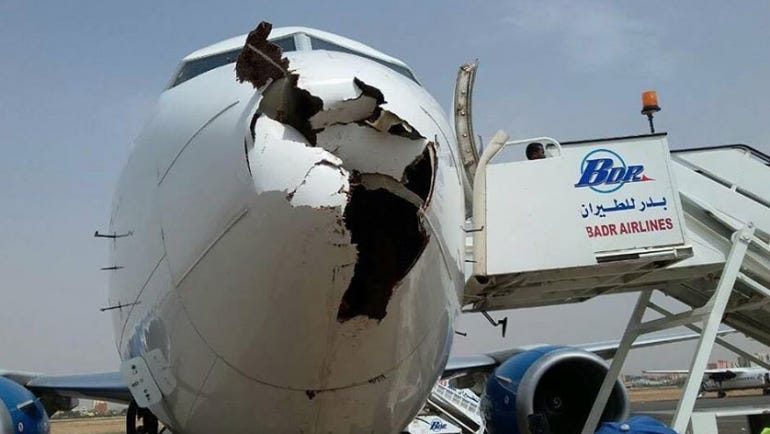 Plane that suffered from bird strike